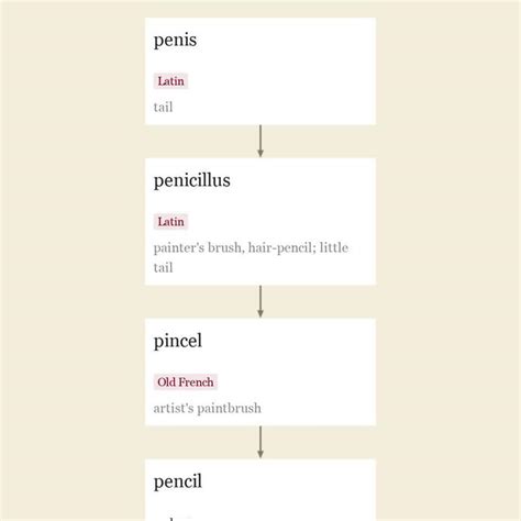 penis latein|etymology of a penis.